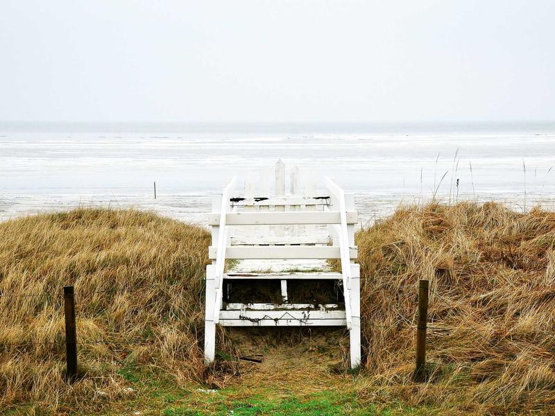 প্রযুক্তি খাতে বিনিয়োগ বাড়ছে দেশে